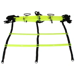 Dual agility žebřík