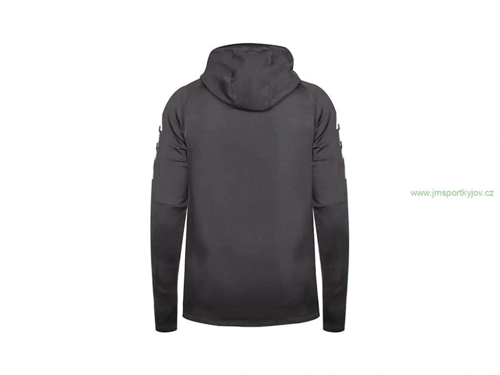 Sportovní mikina NIDELO Zip hoodie Quimper šedá